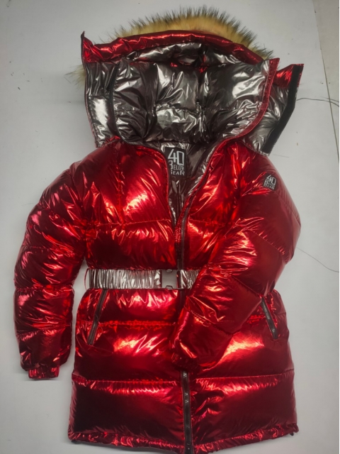 Glossy Nylon Puffer Jacket - Ready-to-Wear 1AC4JD
